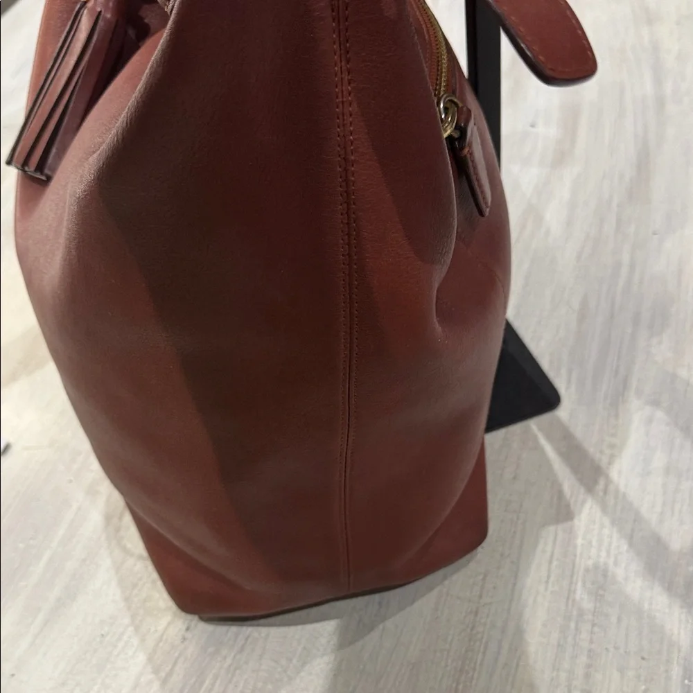 Coach luxurious hobo